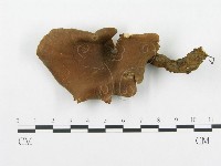 登錄號:F0005907藏品圖，第3張