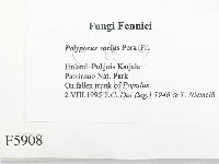 登錄號:F0005908藏品圖，第2張