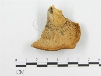 登錄號:F0005908藏品圖，第3張