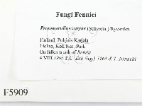 登錄號:F0005909藏品圖，第2張