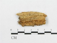 登錄號:F0005909藏品圖，第3張