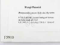 登錄號:F0005910藏品圖，第2張
