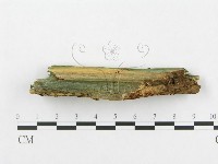 登錄號:F0005910藏品圖，第5張