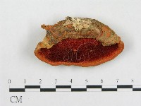 登錄號:F0005911藏品圖，第1張