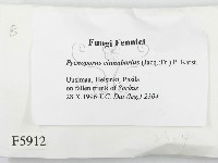 登錄號:F0005912藏品圖，第2張