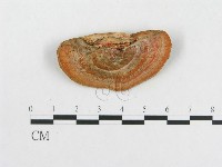 登錄號:F0005912藏品圖，第3張