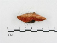 登錄號:F0005912藏品圖，第4張