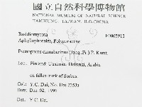 登錄號:F0005913藏品圖，第3張