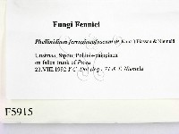 登錄號:F0005915藏品圖，第2張
