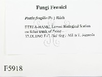 登錄號:F0005918藏品圖，第2張