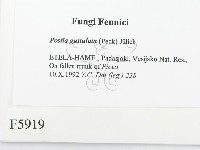 登錄號:F0005919藏品圖，第2張