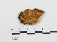 登錄號:F0005919藏品圖，第1張