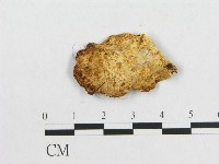 登錄號:F0005919藏品圖，第3張