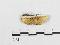 登錄號:F0005920藏品圖，第3張