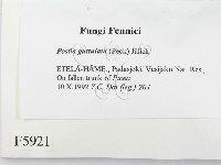 登錄號:F0005921藏品圖，第2張