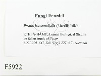 登錄號:F0005922藏品圖，第2張