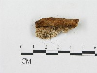 登錄號:F0005922藏品圖，第3張
