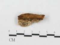 登錄號:F0005922藏品圖，第4張