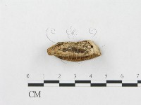 登錄號:F0005923藏品圖，第3張