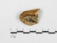登錄號:F0005923藏品圖，第4張