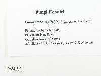 登錄號:F0005924藏品圖，第2張