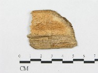 登錄號:F0005924藏品圖，第4張