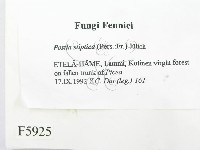 登錄號:F0005925藏品圖，第2張