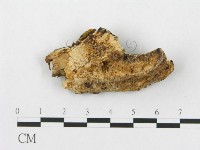 登錄號:F0005925藏品圖，第1張