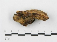 登錄號:F0005925藏品圖，第4張