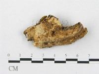 登錄號:F0005925藏品圖，第5張