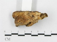 登錄號:F0005925藏品圖，第6張