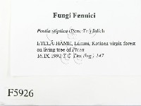 登錄號:F0005926藏品圖，第2張