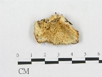 登錄號:F0005926藏品圖，第1張