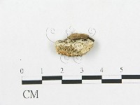 登錄號:F0005927藏品圖，第1張