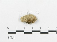 登錄號:F0005927藏品圖，第3張