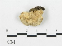 登錄號:F0005928藏品圖，第1張