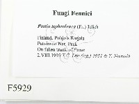 登錄號:F0005929藏品圖，第2張