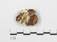 登錄號:F0005929藏品圖，第3張