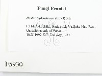 登錄號:F0005930藏品圖，第2張