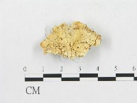 登錄號:F0005930藏品圖，第1張