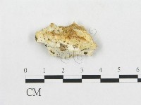 登錄號:F0005930藏品圖，第3張