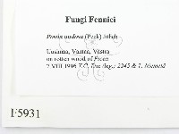 登錄號:F0005931藏品圖，第2張