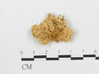 登錄號:F0005931藏品圖，第1張