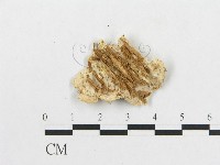 登錄號:F0005931藏品圖，第3張