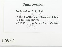 登錄號:F0005932藏品圖，第2張