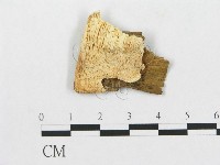 登錄號:F0005932藏品圖，第1張