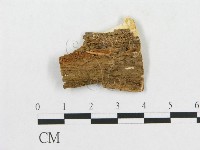 登錄號:F0005932藏品圖，第3張