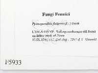 登錄號:F0005933藏品圖，第2張