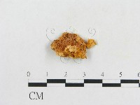 登錄號:F0005933藏品圖，第1張