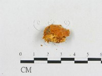 登錄號:F0005933藏品圖，第3張